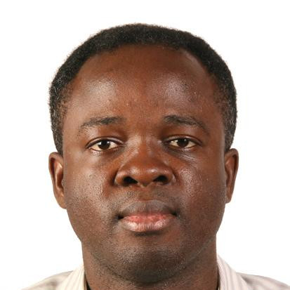 Babatunde O. Adedokun