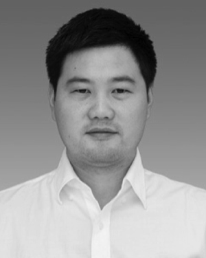 Qibiao Wang