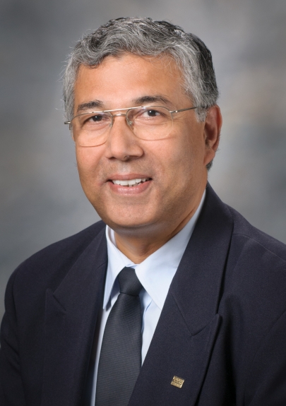 Subrata Sen