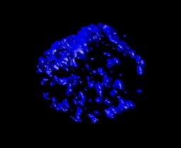 Dunevall Johan