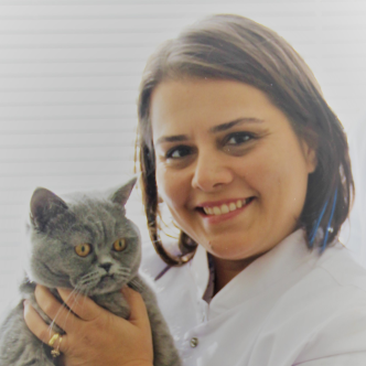 Ebru Yalcin
