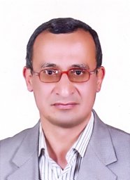 Mohammad A. Ammar