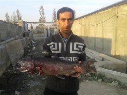 Jamali Hadi