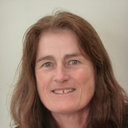 Jeanne H.M. De Vries