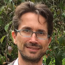Mauro Gori