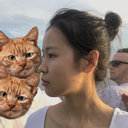 Lin Xue