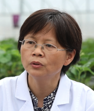 Mizhen Zhao