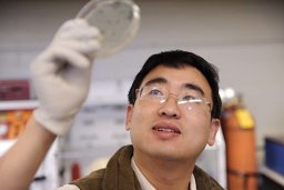 Xiaochao Xiong