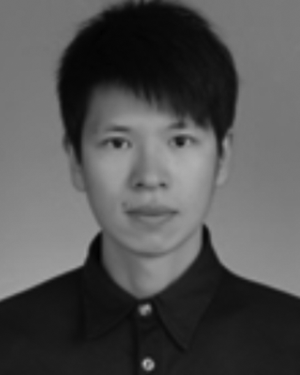 Qi Wei