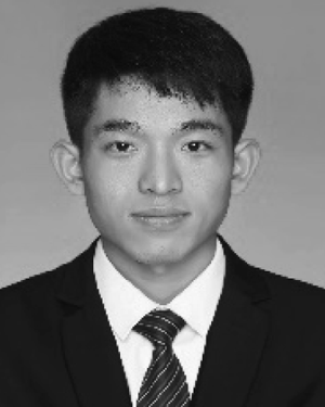 Shengjing Yin
