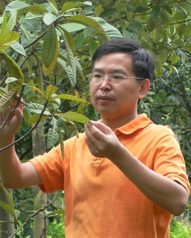 Jinghui Zhong