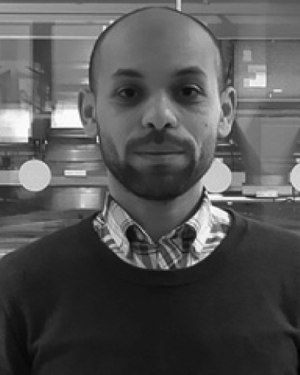 Abd El-Moez A. Mohamed