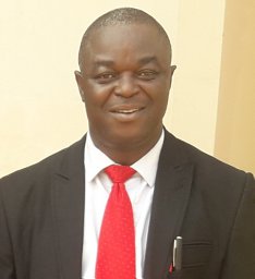 Johnson Fatokun