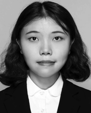 Hongyan Zhang