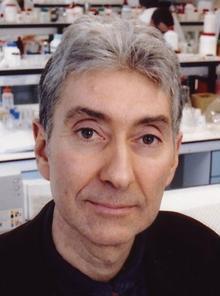Stephen Mann