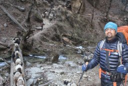 Ghimire J