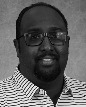 Mohammad T. Freigoun