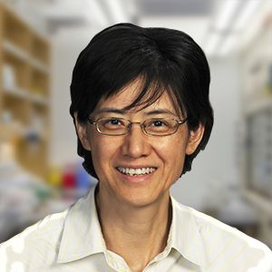 Xiaohua Wu
