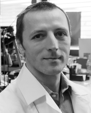 Stefan E. Schausberger