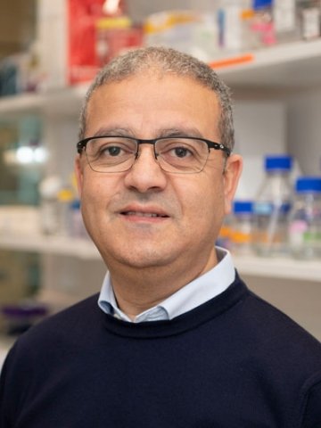 Abdel El Manira