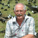 Chris Feare