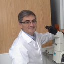 Mohammad Shafiee
