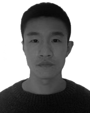Dingyao Chen
