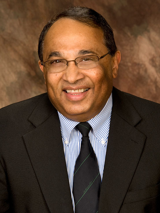 Narayan S. Hosmane