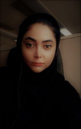 Sanaz Alamdari