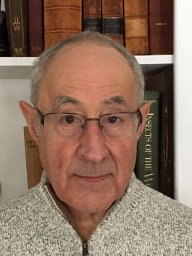 Leon J. Frazin