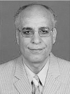 Ahmed K. Elhakeem