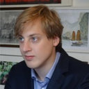 Michiel A. van den Dries