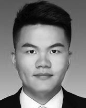 Luping Li
