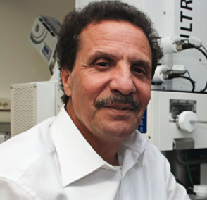 Mohammed Es-Souni