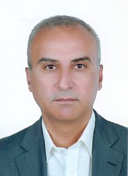F. Malek Ghaini
