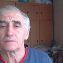 V. S. Shulman