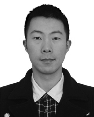 Feiran Chen