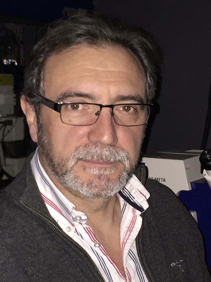 Luis A. Pardo