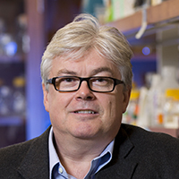 Stephen Dalton