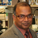 Radheshyam K. Jayaswal