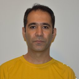 Amir Reza Aref Laleh