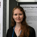 Nadezhda S. Gerasimova