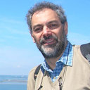 Andrea Povellato