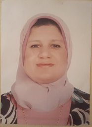 Heba A. Shawkey