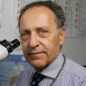 Lucio Luzzatto