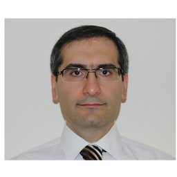 Seyed Ahmad Sajjadi