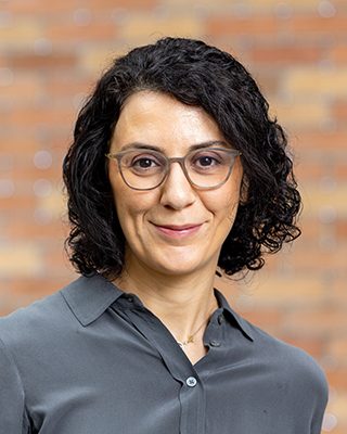 Hanna Hajishirzi