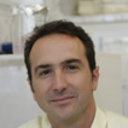 Domenico Maiorano