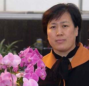 Xia Sun