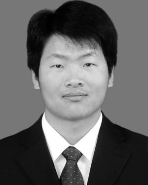 Wensong Hu